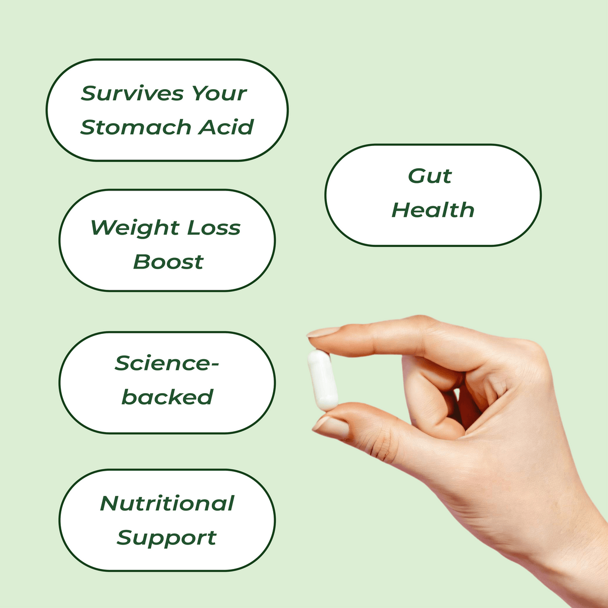 Bala Pre+Probióticos