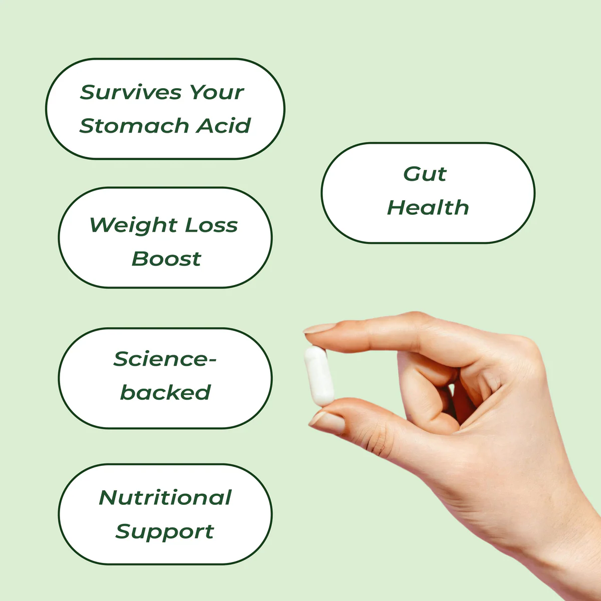 Bala Pre+Probiotics 3