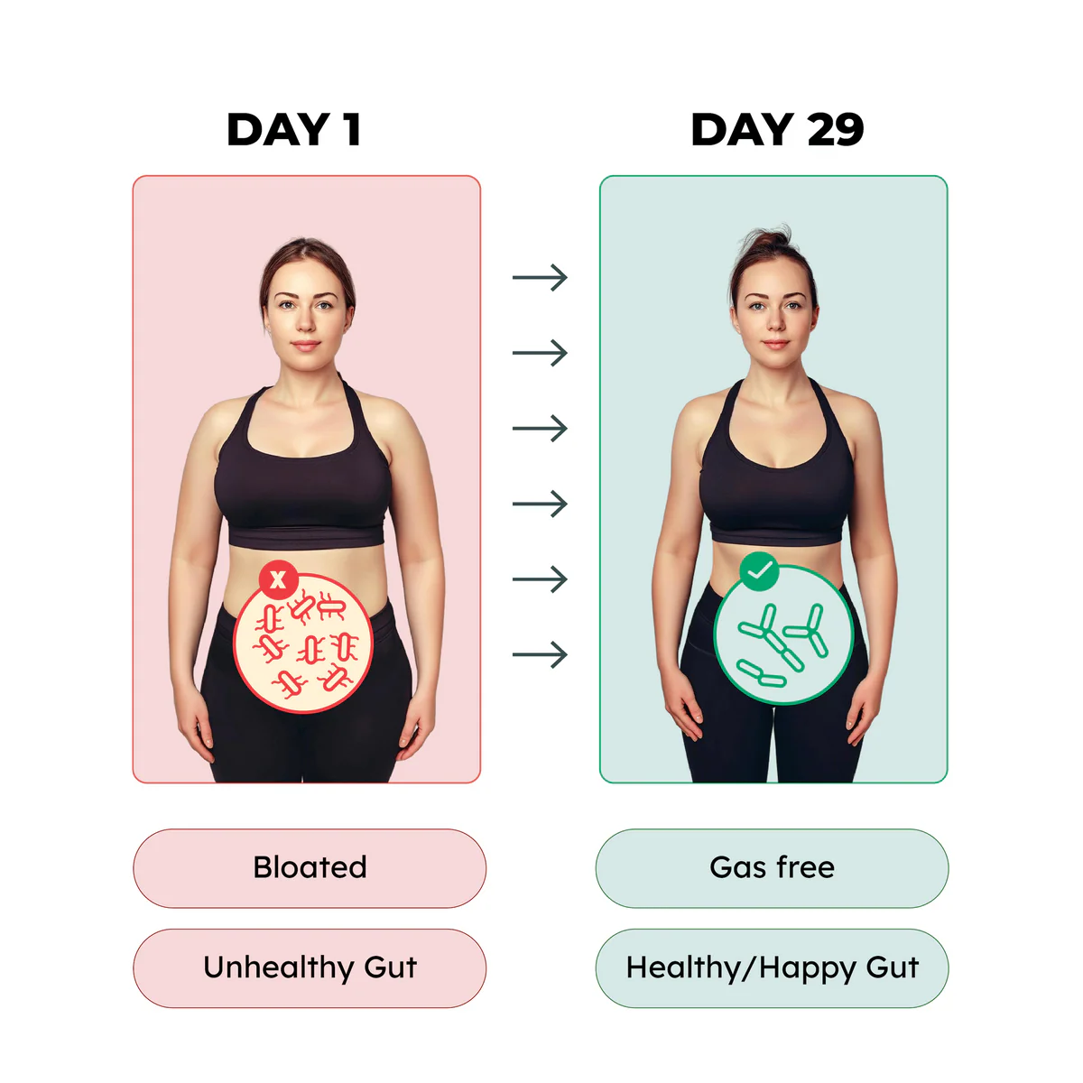 Bala Pre+Probiotics 5