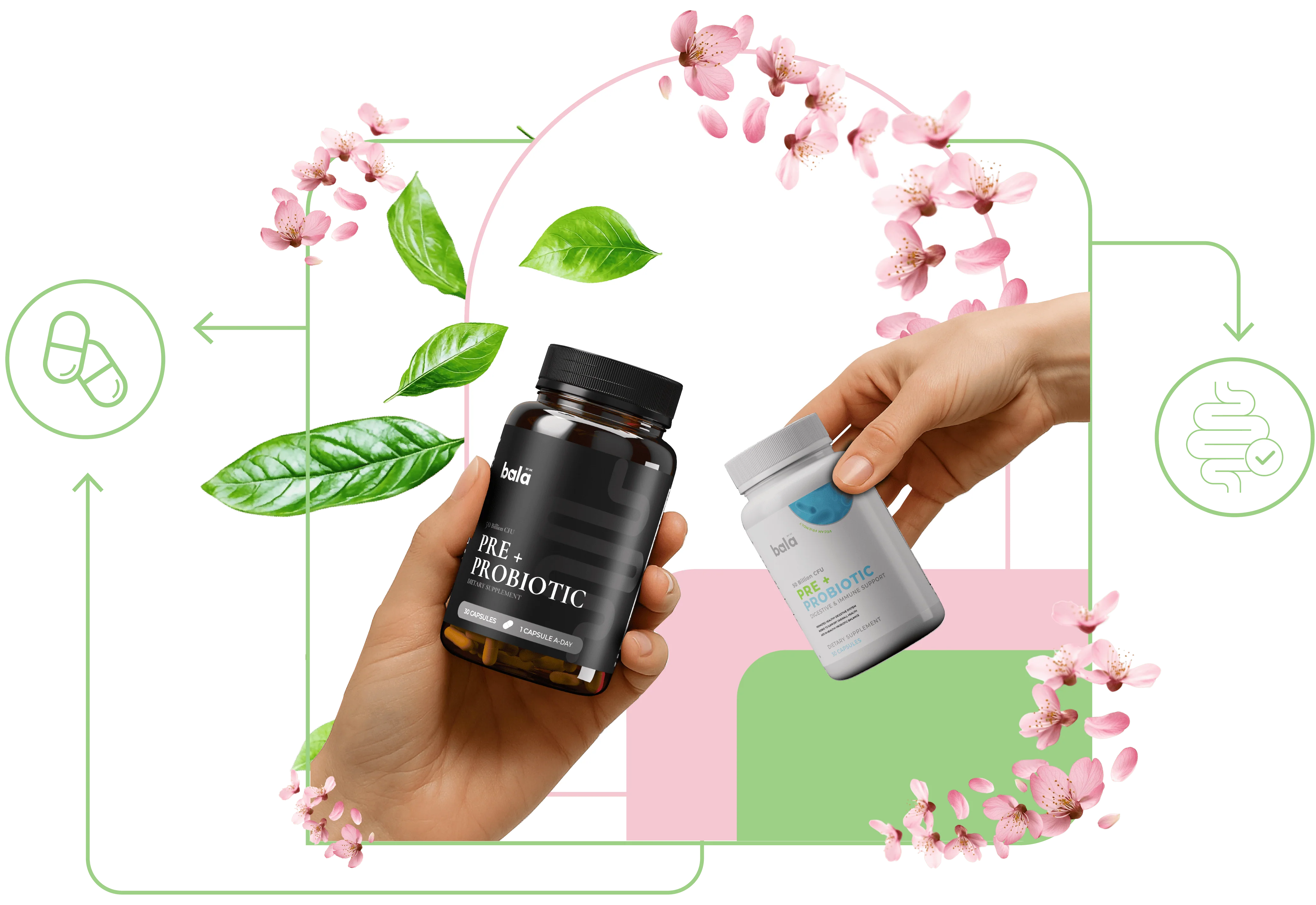 Bala Health Pre + Probiotic Supplement Bottles - Premium Gut Health Formula